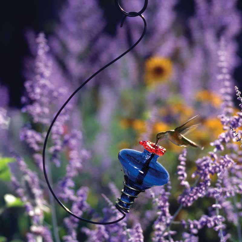 Blossom Glass Hummingbird Feeder-Cobalt Blue